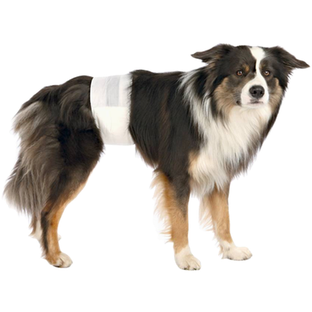 Trixie - Engangsbleier for hannhunder, blå, Large/ X-Large - Hund - Hundepleie & kosttilskudd - Tispetruser - ZOO.no