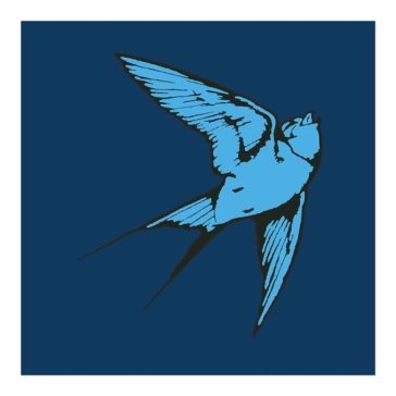 Love & light TOM SPEIGHT