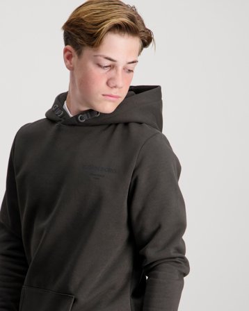 Björn Borg BORG ESSENTIAL 1 HOODIE Harmaa Hupparit/Hoodie Pojat - Kids Brand Store
