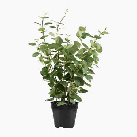 Konstgjord eucalyptus i kruka - Biltema