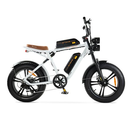 ENGWE M20 (26Ah) Elektrisk Fatbike - Dubbel Batteri - 20 Tum - 250W Motor - 7 Växlar - 150 km Räckvidd - Mekaniska Skivbromsar -