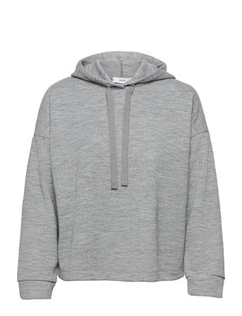 Maxime8 Grey Mango