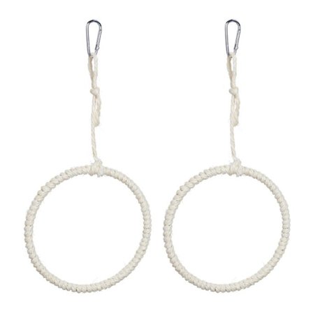 Fågelsvingring set om 2