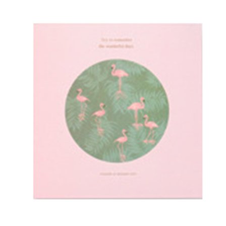 Itsekiinnittyvä valokuva-albumi DIY-muistikirja-albumit Kirjoitettava sisäsivualbumi Kirja muistoksi Pinkki lintu