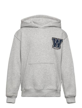 Rahul Hood Sweat Sweat-shirt Genser Grå Grunt