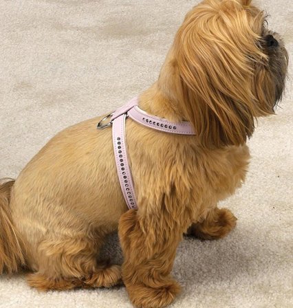 East Side Collection - Gemstone Sparkle Sele Blå - Hundsele