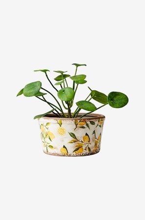 Affari of Sweden - Kruka Lemona M - Vit - Krukor & vaser - Från Homeroom