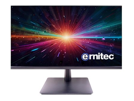 ERNITEC 27" Surveillance monitor