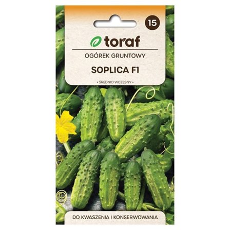 Kurkun siemen Soplica F1 - Keskisatoinen ja runsassatoinen suolakurkkujen siemeniä varten