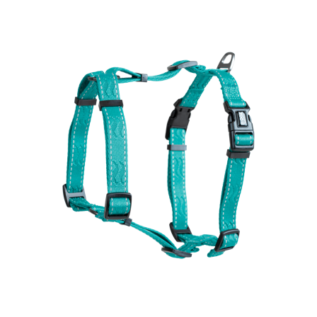 Selected by ZOO - Sele Rufus H-sele justerbar XS/S 15 mm x 50 cm Turkis - Hund - Halsbånd - ZOO.no