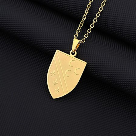 Bosnisk rustfrit stål vedhæng til kvinder mænd guld farve sølv farve charme Bosnien smykker mode kort kæde B