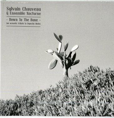 Down to the bone SYLVAIN & CHAUVEAU