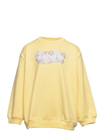 Lvg Over D Crew Sweatshirt Sweatshirt Trøje Orange Levi's