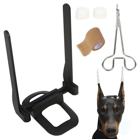 Dog Ear Stand Doberman Ear Stand Up D D