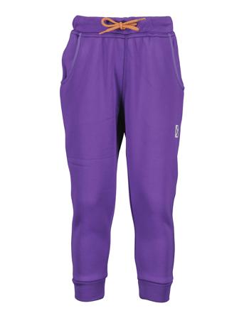 Corin Kids Pnt 7 Outerwear Fleece Outerwear Fleece Trousers Lilla Didriksons*Betinget Tilbud