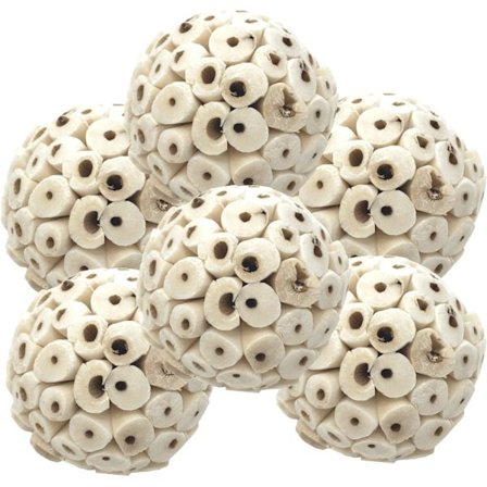 Luonnollinen Sola-pallo Pehmeä Purra ja Etsiä Papukaijoille Amazon, Co,ZQKLA