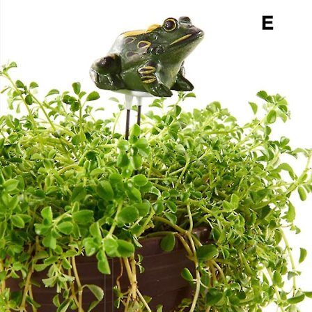 Fuktighetsmätare för inomhusbruk med bevattningslarm, växtvattentestare, hygrometer, sensor, trädgårdsverktyg för(E)