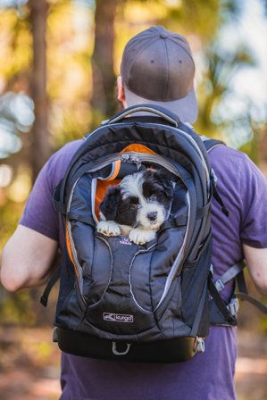 Kurgo G Train Pack Navy