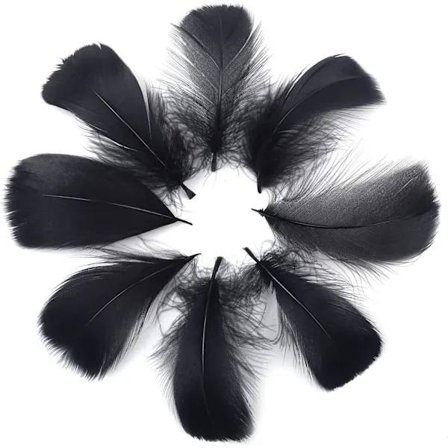 600 stykker fjer sort - naturlige til tøj, hat