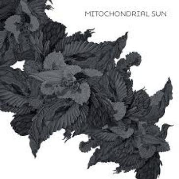 Mitochondrial sun MITOCHONDRIAL SUN