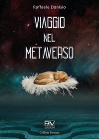Viaggio nel metaverso Raffaele Dionisio
