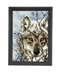 Bild Wolf - Dimensions