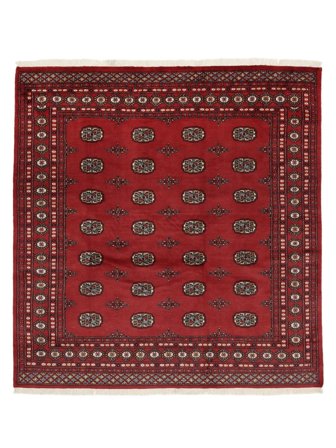 Handgeknüpft Buchara 2Ply Teppich 198X206