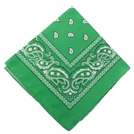 Bandana tørklæde sjal snus klud paisley mønster grønt