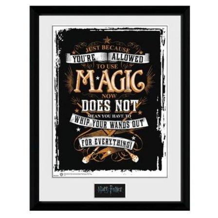 Harry Potter Bild Wand Out 40 x 30