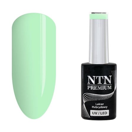 NTN Premium - Gel polish - California - Nr138 - 5g UV gel/LED