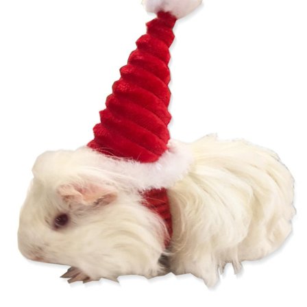 Lizard Tomte Hatt Kanin Withscarf Juldräkt 02 02