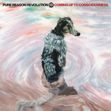 Coming up to consciousness Pure Reason Revolution