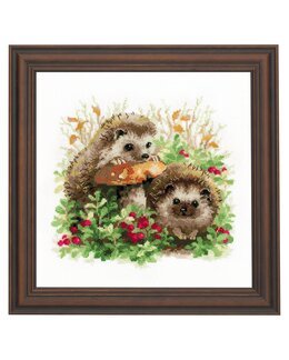 Billede Pindsvin i busk - Riolis