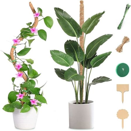 Mosstang, Super Stabil & Råd-fri Mosstang Til Planter Monstera, 53 Tommer Udtrækkelig Monstera Plantesupport, 4pak 17 Tommer Stablebar Kokosnød Coir 