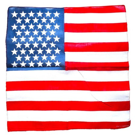 USA flagg bandana