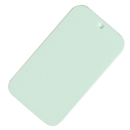 Träningsmatare för sällskapsdjur i metall Handhållen fröbricka Liten storlek för dvärgpapegubbar Finkar Kanariefågel Lätt att bära för träning