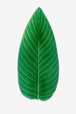 COSTA NOVA - Serveringsfat Strelizia - Grønn - Serveringsfat - Fra Homeroom