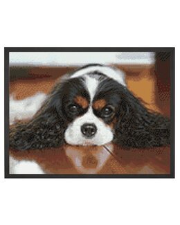 Diamond painting King Charles