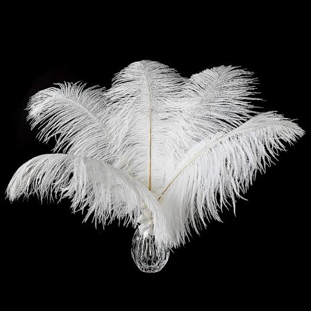 24 st naturliga vita strutsfjädrar 10-12 tum (25-30 cm) för bröllopsfestens mittpunkter, blomsterarrangemang och heminredning.