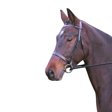 Hy Hunter Läderträns med Gummigrepp Tyglar Ponny Brun Brown Pony