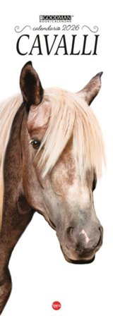 Cavalli. Calendario Argos Compiega 2026. Long