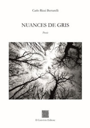 Nuances de gris Carlo Ricci Bertarelli