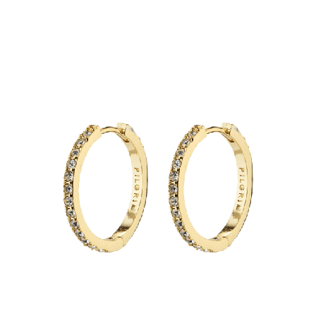 Pilgrim Ebna Earrings Smycken & klockor Dam Guld ONESIZE