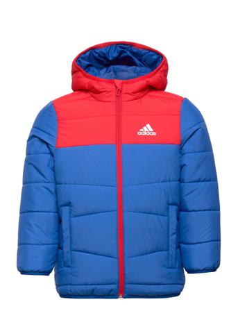 Padded Winter Jacket Toppatakki Sininen Adidas Performance
