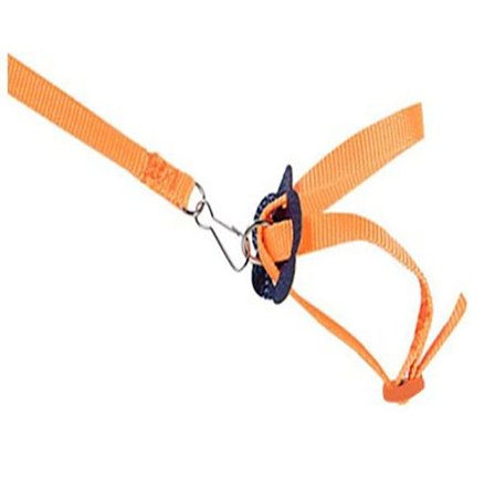 Papegøje Fugle Halsbånd Sele Lizard Træk Reb ORANGE