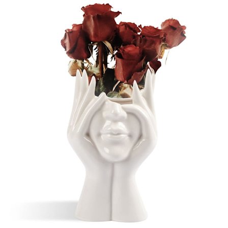 Ansigtsvase, Blomster vase borddekoration, Moderne landbrugshus borddekoration, Lille sød vase bogreol dekoration Halv ansigtsvase