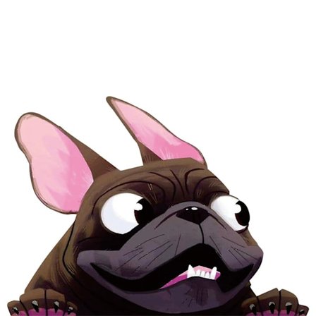 1 st hundbilklistermärke