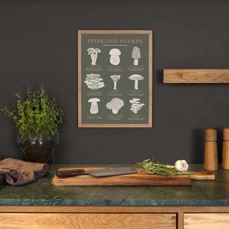 Plakat med Spiselige svampe i 30x40 fra Gehalt — Dekorativ i køkkenet