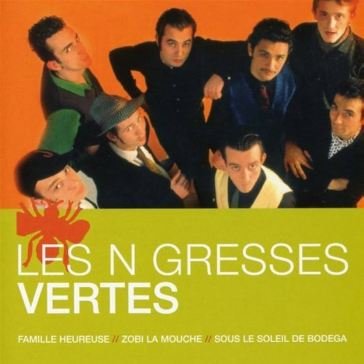 L'essentiel Les Negresses Vertes