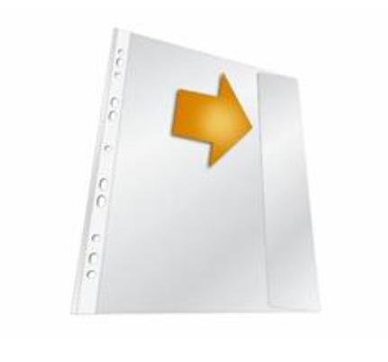 DURABLE Sheet Protector 210 X 297 Mm